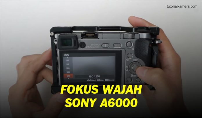 Cara Aktifkan Fokus Wajah Kamera Sony A6000 - Tutorial Kamera