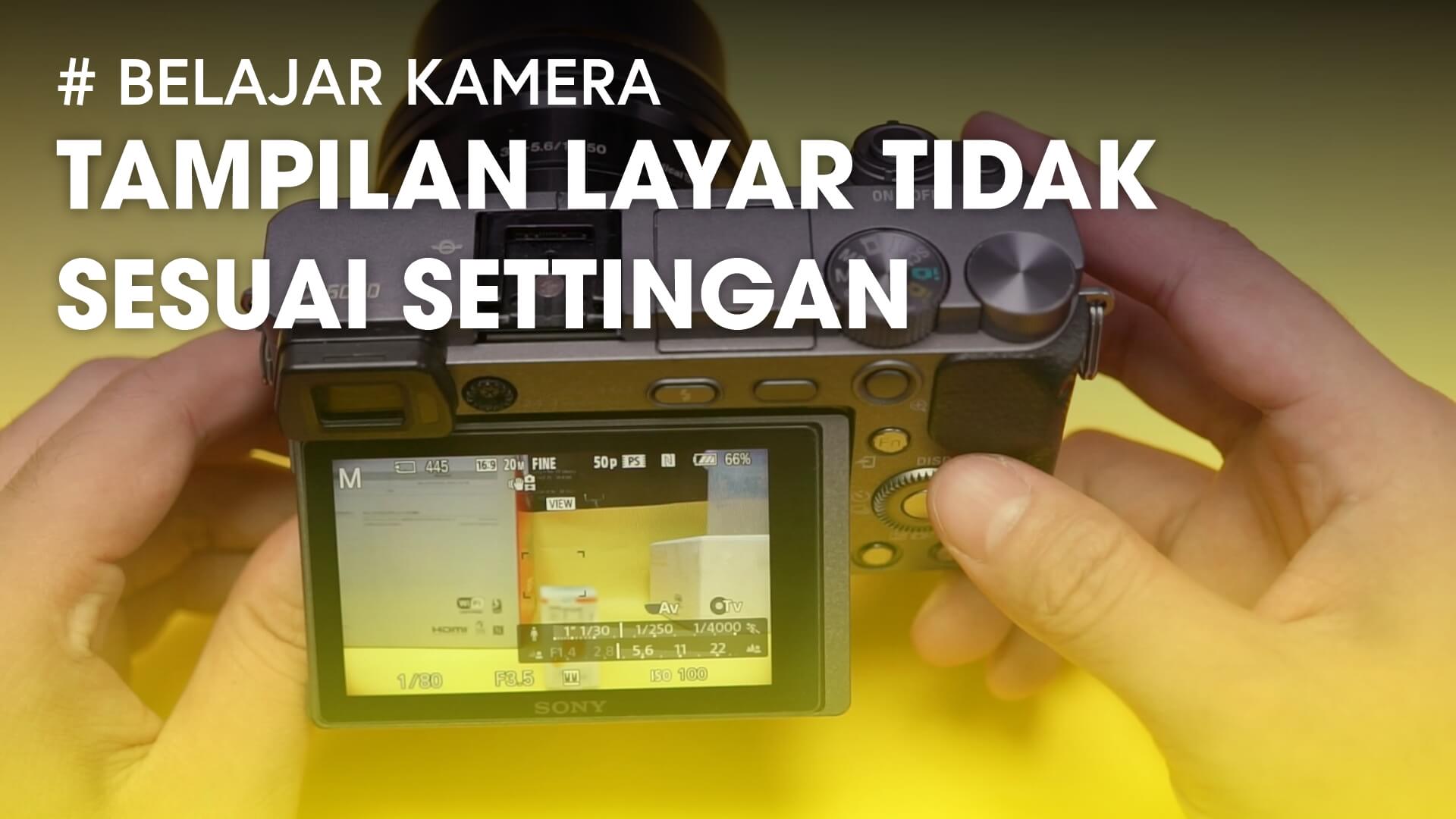 Tampilan Layar Kamera Sony Tidak Sama Dengan Settingan Setting Effect