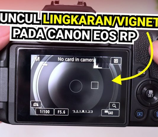 Mengatasi Kamera Canon EOS R/RP Muncul Vignet Saat Pake Lensa Sigma
